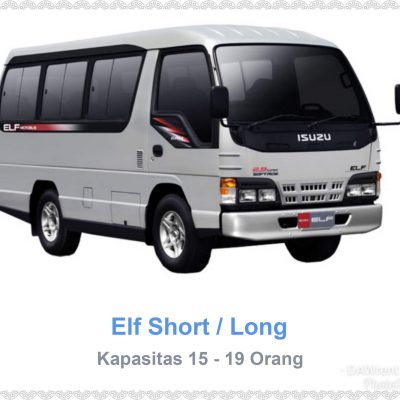 elf short long